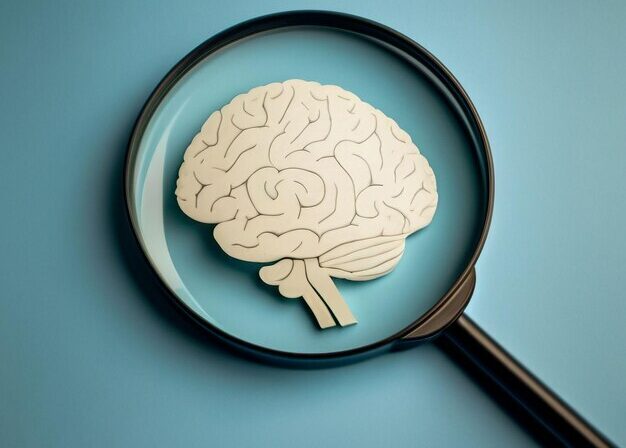 Lente di ingrandimento su un disegno di cervello umano. MCI