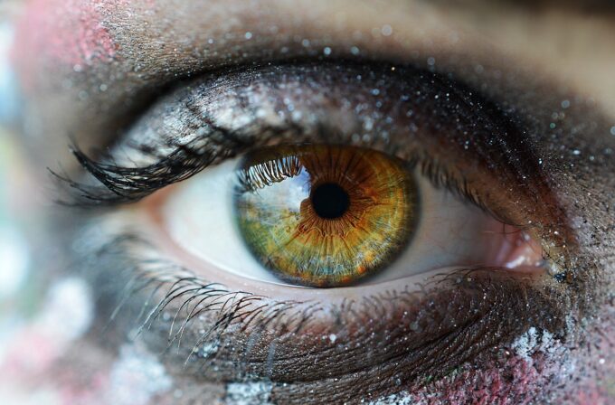 Immagine di un occhio con la retina