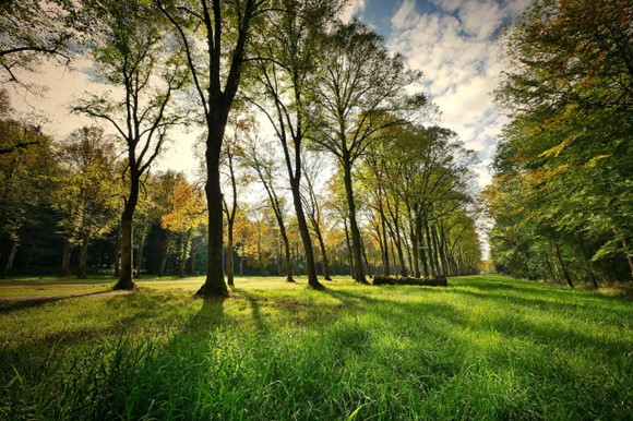 Ambienti naturali che aiuta a combattere il parkinson