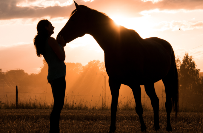 donna con un cavallo che fa ippoterapia
